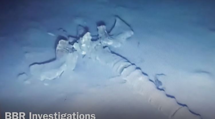 Mysterious 30 Metre Large Skeleton Found In Mediterranean Sea: The Remains Of A Mythical Sea Serpent?