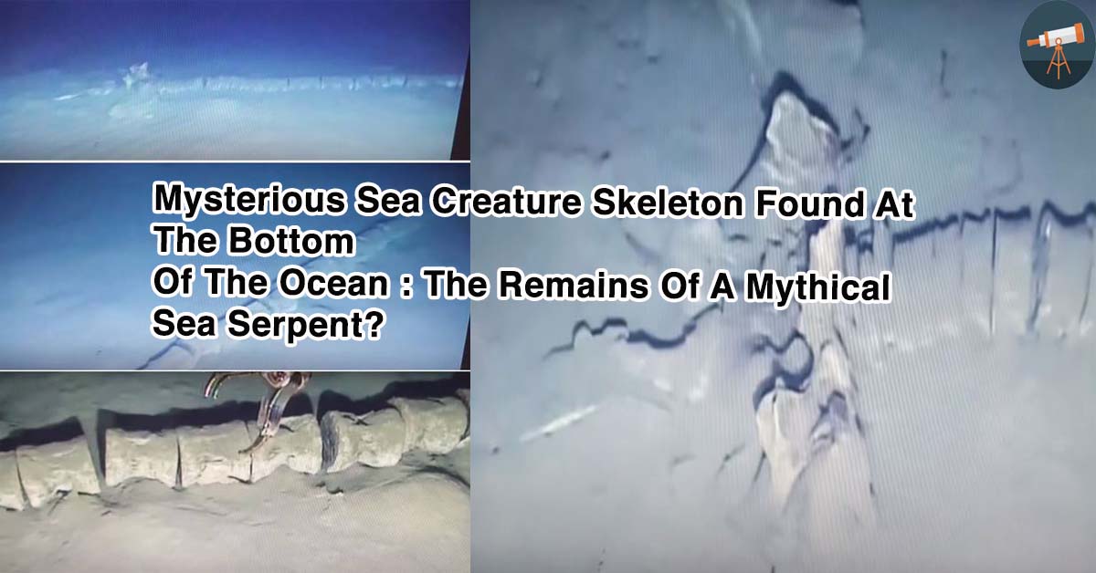 Mysterious 30 Metre Large Skeleton Found In Mediterranean Sea: The Remains Of A Mythical Sea Serpent?