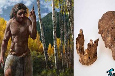 Ancient Humans In Israel Featured