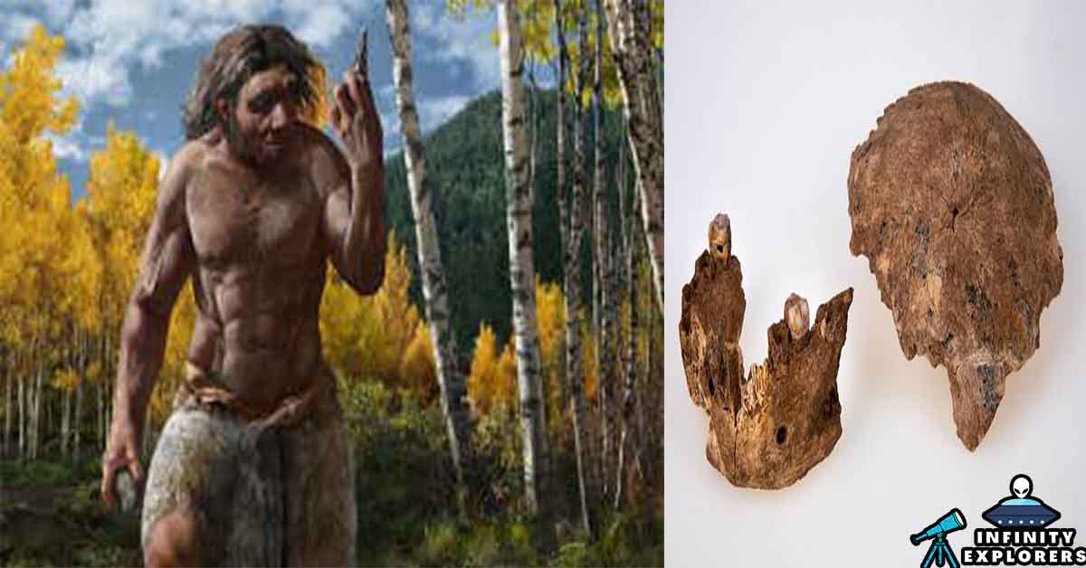 Nesher Ramla People: Ancient Humans That Lived Over 1,00,000 Years Ago Discovered In Israel