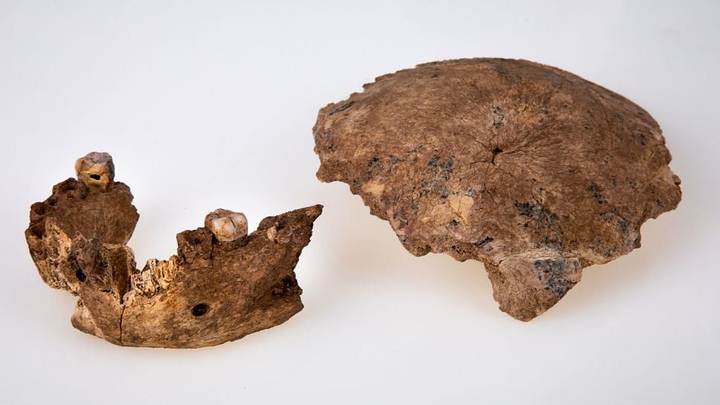 Nesher Ramla People: Ancient Humans That Lived Over 1,00,000 Years Ago Discovered In Israel 1 Nesher Ramla People: Ancient Humans That Lived Over 1,00,000 Years Ago Discovered In Israel