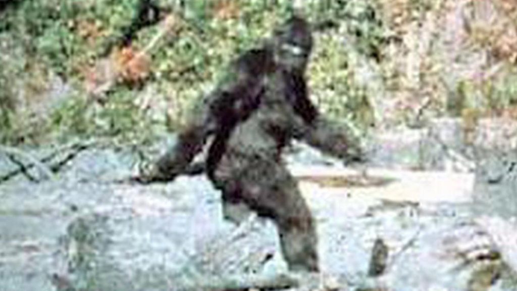 5 Mysterious Creatures Seen Around The World 11 Big Foot - Mysterious Creatures