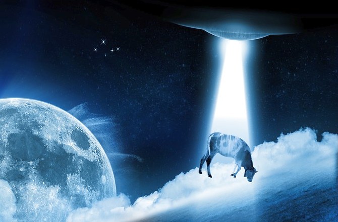 Ufologists And People Abducted By UFOs Are Closely Monitored By The Government 1 Cow abduction
