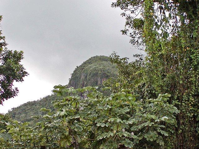 El Yunque National Forest Alien Encounters: A Camping Group Attacked By Aliens 