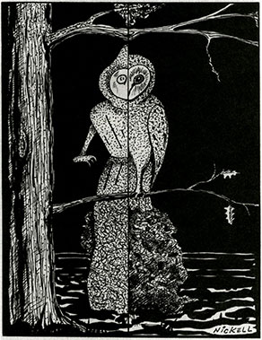 5 Mysterious Creatures Seen Around The World 12 The Flatwood Monster