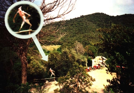 5 Mysterious Creatures Seen Around The World 5 The Jersey Devil - Mysterious Creatures