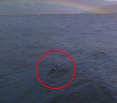 5 Mysterious Creatures Seen Around The World 10 Nessi - The lochness Monster