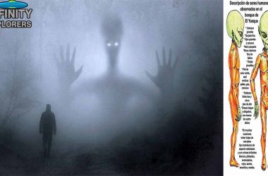 El Yunque National Forest