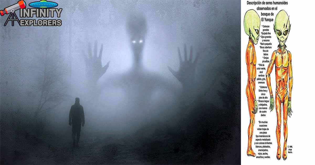 El Yunque National Forest Alien Encounters: A Camping Group Attacked By Aliens