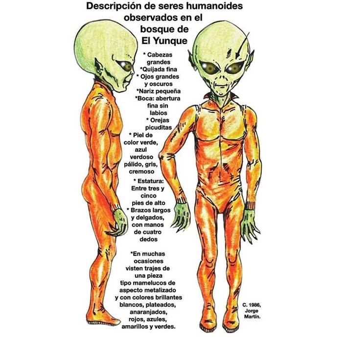 El Yunque National Forest Alien Encounters: A Camping Group Attacked By Aliens 