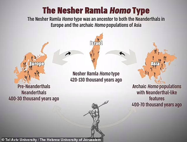 Nesher Ramla People: Ancient Humans That Lived Over 1,00,000 Years Ago Discovered In Israel 4 Nesher Ramla People: Ancient Humans That Lived Over 1,00,000 Years Ago Discovered In Israel
