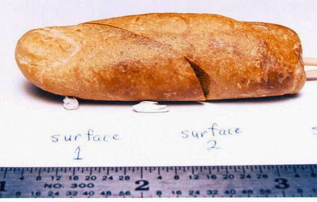 The Mystery Of The 100 Million Years Old Fossilized Human Finger