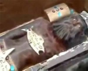 Body of a Anunnaki King