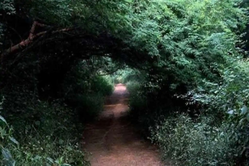 Top 5 Haunted Places In India 3 Top 5 Haunted Places In India
