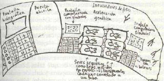 Drawing Of The Facility By Christa Tilton