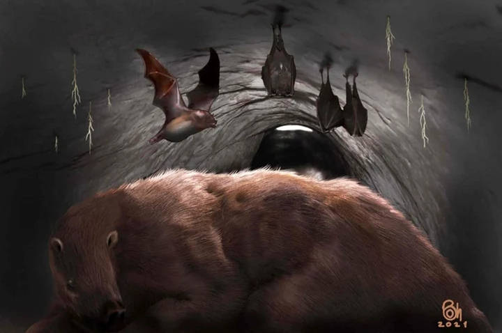 Remains Of A 100000-Year-Old Giant Vampire Bat Found In A Cave In Argentina