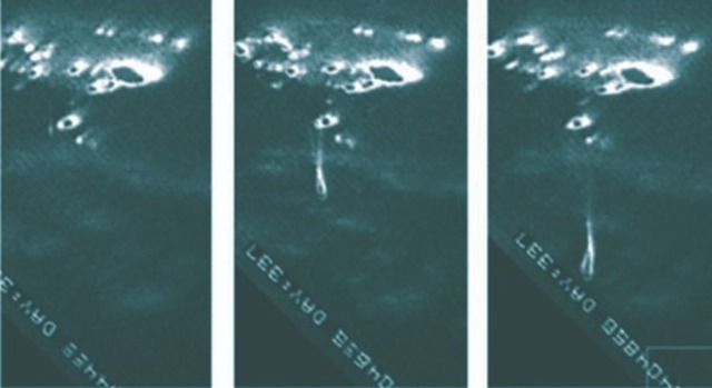 Mysterious Alien Encounters In Puerto Rico: Deadbody Of An Alien And Underwater Alien Bases 3 UFOOOO