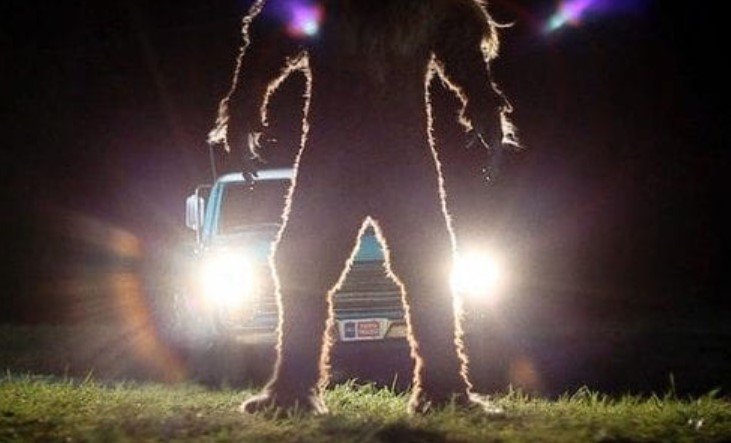 bigfoot e