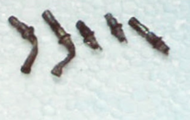 Atalanti UFO Case