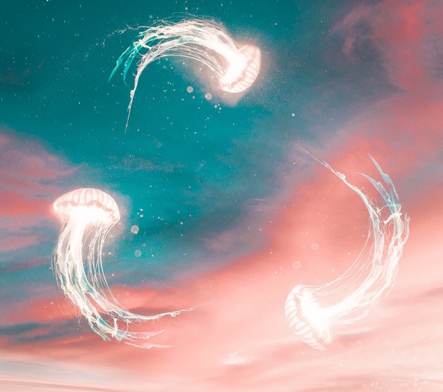 Flying Jellyfish And Sky Squids