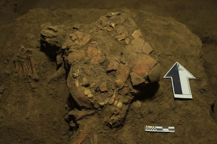 7000 Years Old Fossils Found In Sulawesi Caves Reveals Unknown Human Lineage 3 Fossils Found In Sulawesi Caves Reveals Unknown Human Lineage