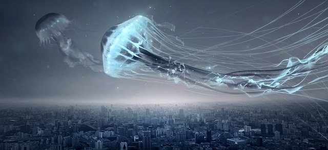 Flying Jellyfish And Sky Squids