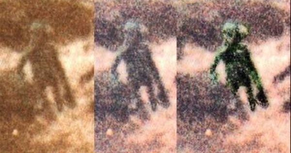 Ilkley Moore Alien Creature