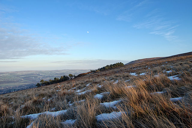 Ilkley Moore