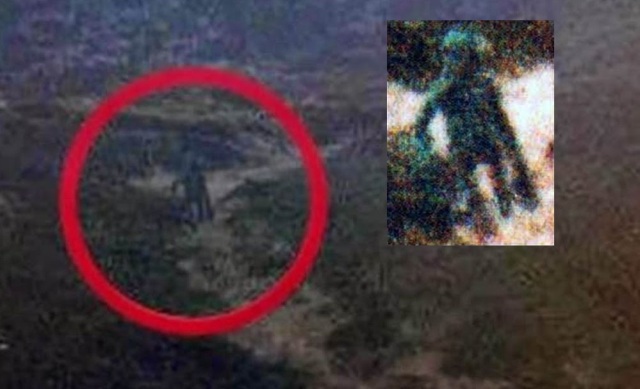 The Ilkley Moore Alien Creature- Real Alien Photograph And Alien Abduction Of Philip Spencer