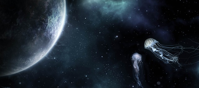 Flying Jellyfish And Sky Squids