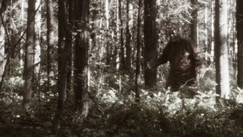 Are Bigfoot, Yeti, And Other Creatures Demonic Entities Related To UFO Sightings? 1 eyJidWNrZXQiOiJjb250ZW50Lmhzd3N0