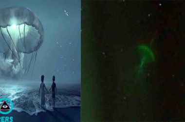 flying squidsss featured