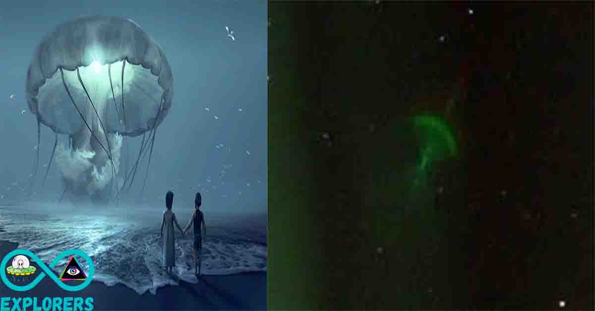 The Mystery Of Flying Jellyfish And Sky Squids