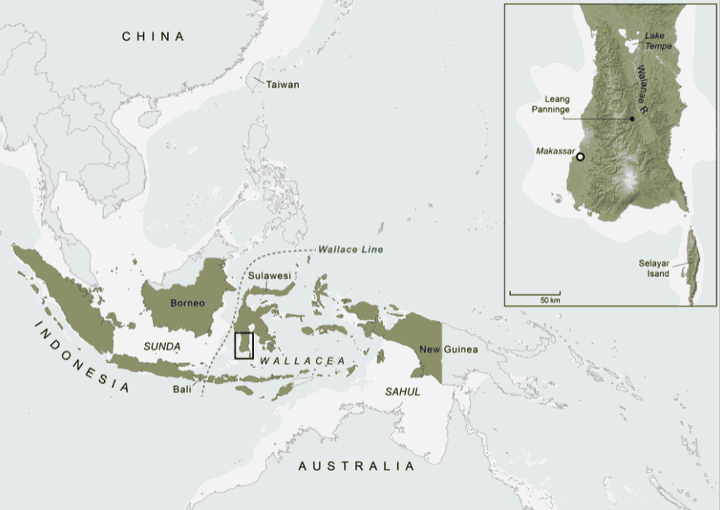 7000 Years Old Fossils Found In Sulawesi Caves Reveals Unknown Human Lineage 2 Fossils Found In Sulawesi Caves Reveals Unknown Human Lineage