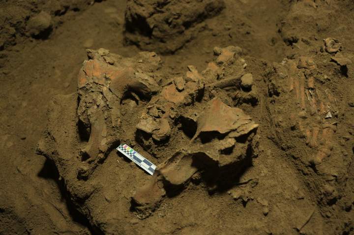 7000 Years Old Fossils Found In Sulawesi Caves Reveals Unknown Human Lineage 5 The position of Bessé's bones, such as her pelvis and one foot (on the right of the photo), suggests that she was buried in a fetal position.