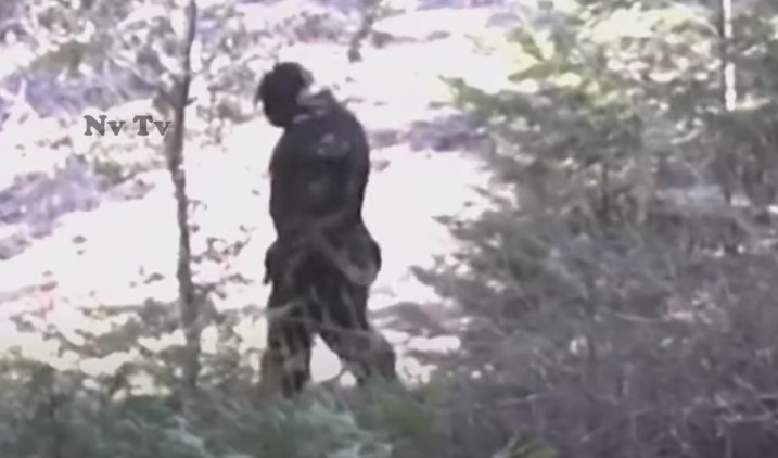 The Incredible Footage Of A Bigfoot In Idaho, USA 1 Footage Of A Bigfoot In Idaho
