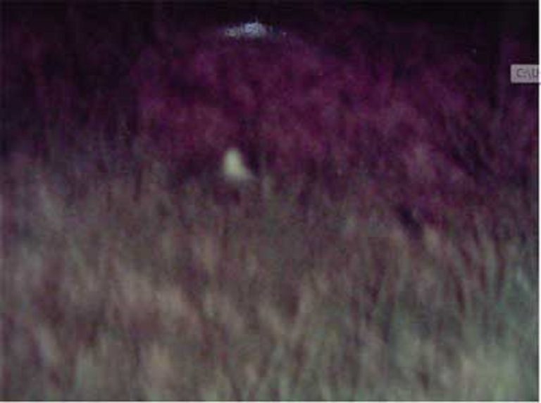 Kera UFO in the Field