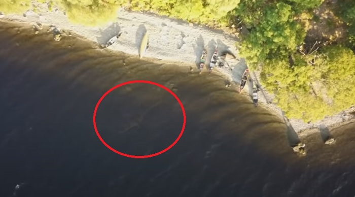 Huge Loch Ness Monster Like Creature Captured By Drone In Scotland