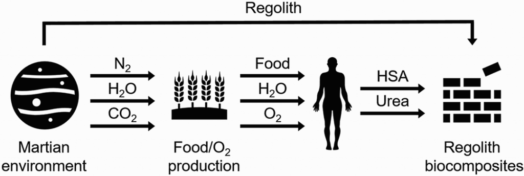 Scientists Create Cosmic Concrete Created With Space Dust And Astronaut Blood