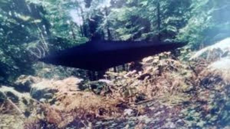 Black UFO Alien Encounter Of Jonathan Reed