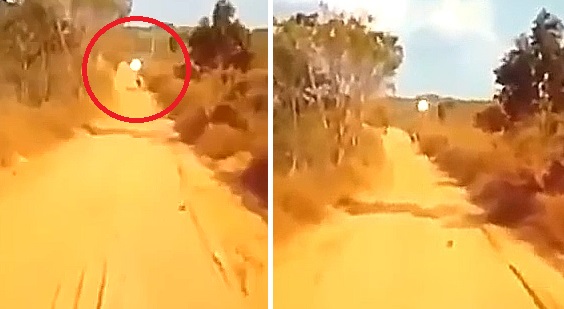 Shows A UFO Trying To Abduct A Calf