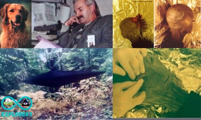 Alien Encounter Of Jonathan Reed: Alien Killed His Dog, Managed To Film The Alien