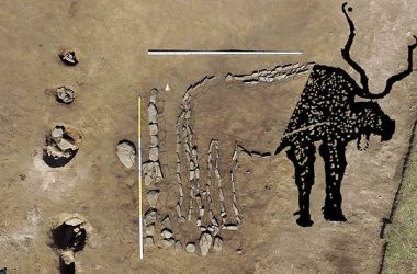 Bull Geoglyph Featured