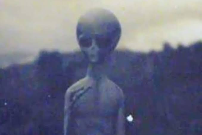 The Mysterious Disappearances At Mount Shasta: Alien Base Or Inner Earth Civilisation?