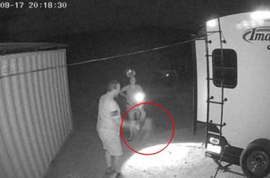 Ghost of a dog rocky