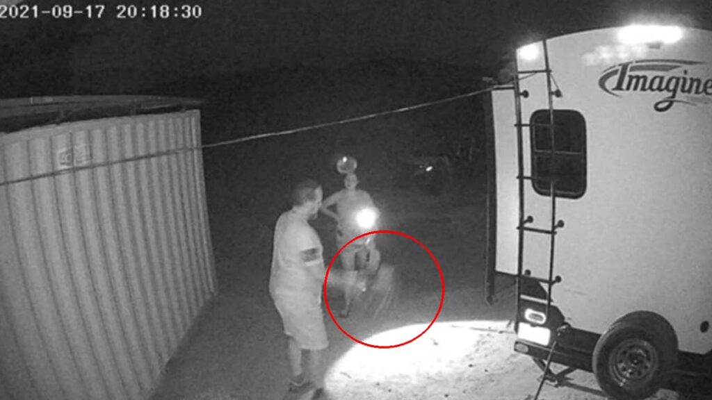 Ghost Of A Dog: Apparitions Of A Deceased Dog Captured On Camera By Owners