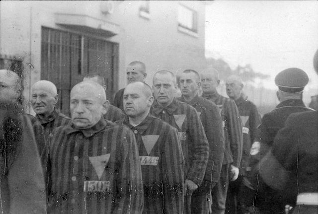 Nazi Immortality Experiment