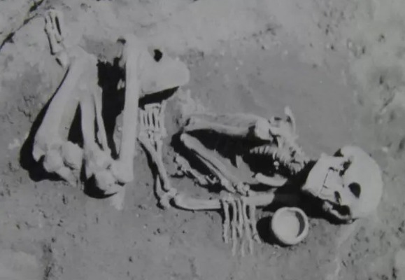The Mysterious Blonde Giants Of Catalina Island: Skeletons Discovered By Ralph Glidden 5 Giants Of Catalina Island