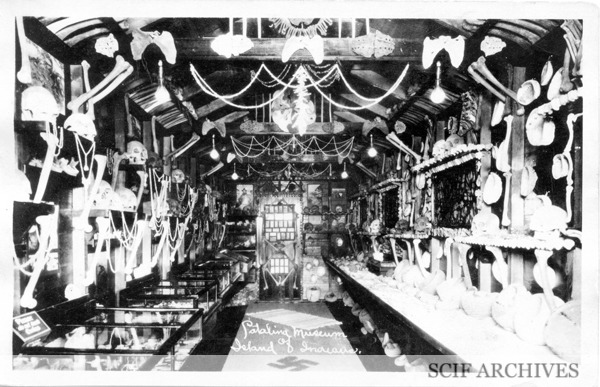 The Mysterious Blonde Giants Of Catalina Island: Skeletons Discovered By Ralph Glidden 3 85077560