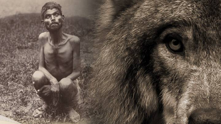 Dina Sanichar: The Boy Raised By Wolves In Wild 1 Dina Sanichar